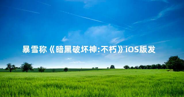 暴雪称《暗黑破坏神:不朽》iOS版发布日期只是占位符 暴雪称《暗黑破坏神:不朽》IOS版发布日期只是占位符